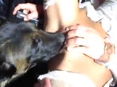 A large black dog visits her insane and wicked female owner to suck her delicious pussy.